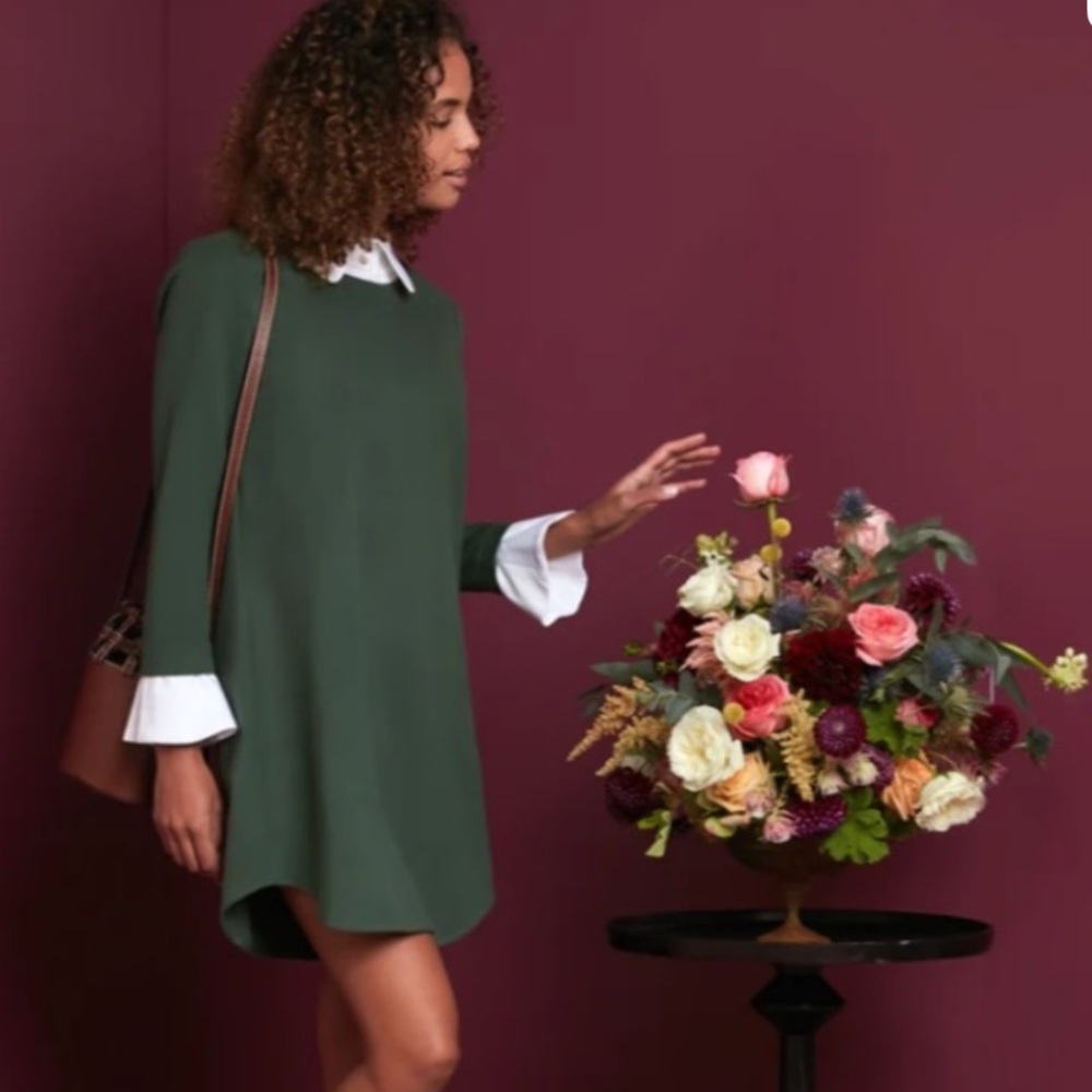 NWT - Tuckernuck collared long sleeve dress